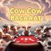 Cow Cow Baccarat Varian Unik dari SA Gaming